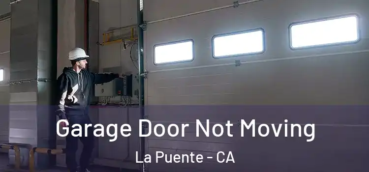  Garage Door Not Moving La Puente - CA